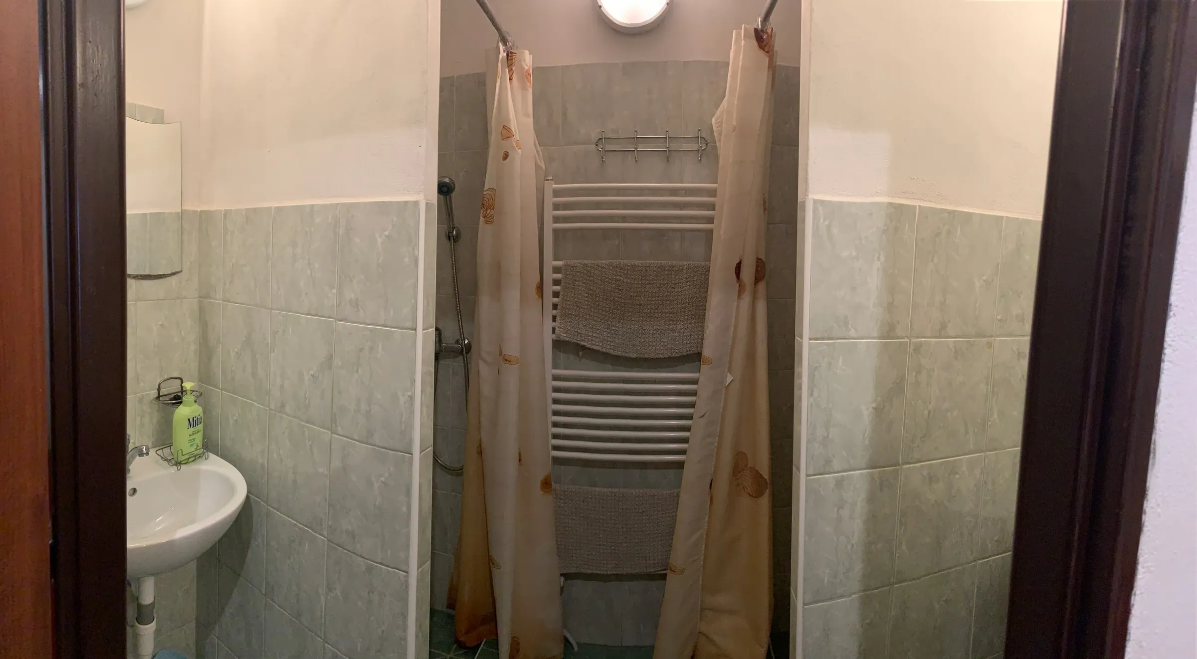 Shower room